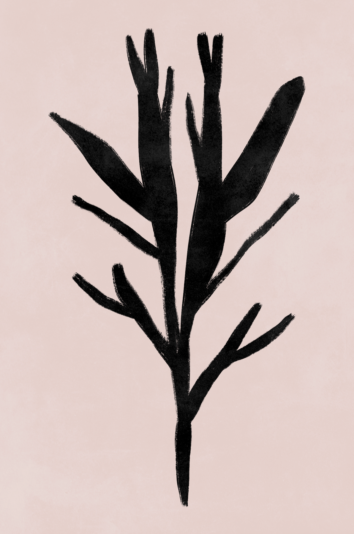 Affiche premium en papier mat – BOTA 1008