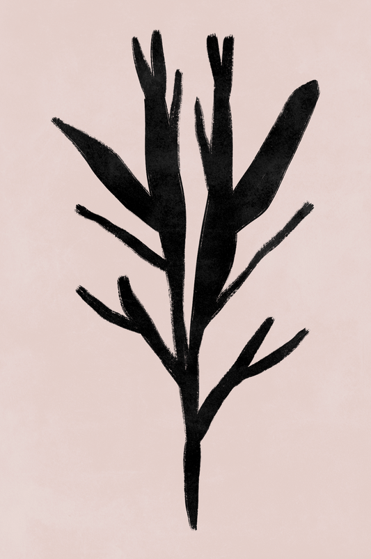 Affiche premium en papier mat – BOTA 1008