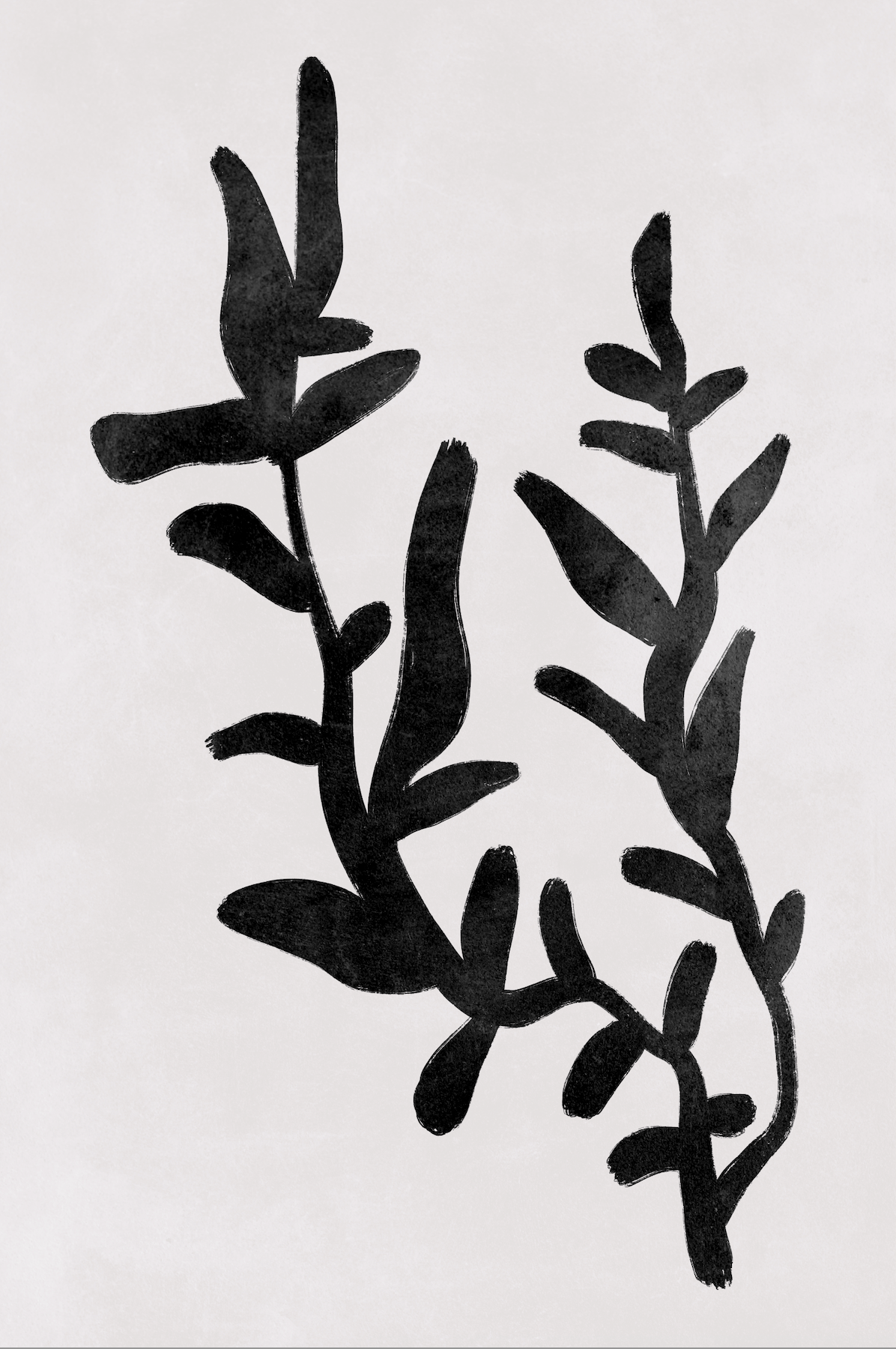 Affiche premium en papier mat – BOTA 1010