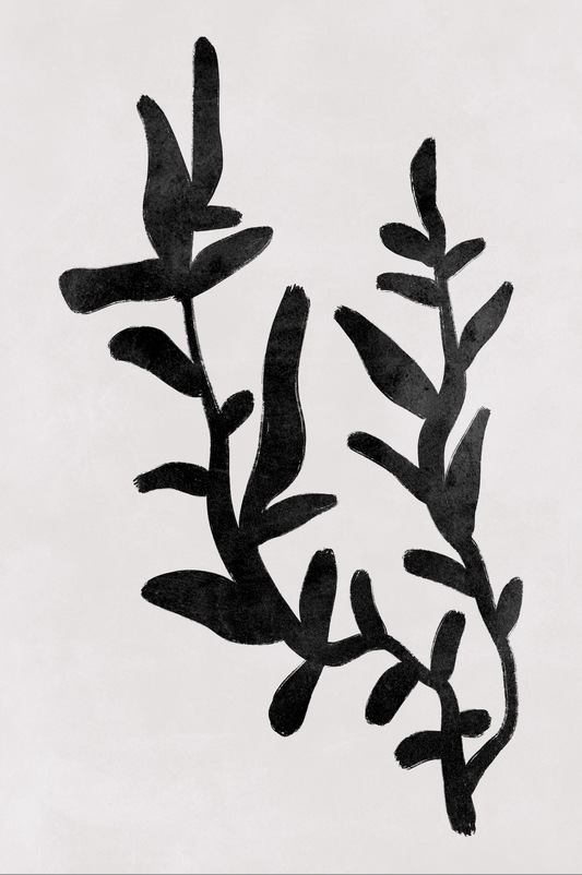 Affiche premium en papier mat – BOTA 1010