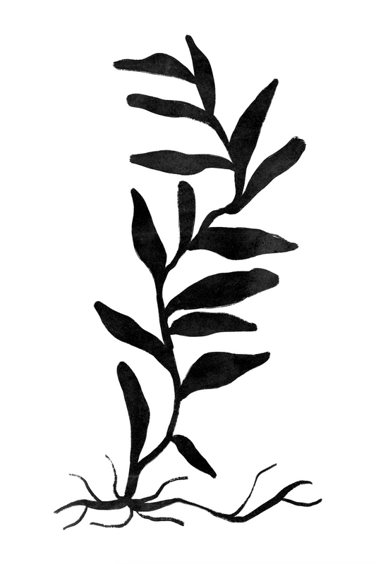 Affiche premium en papier mat – BOTA 1015