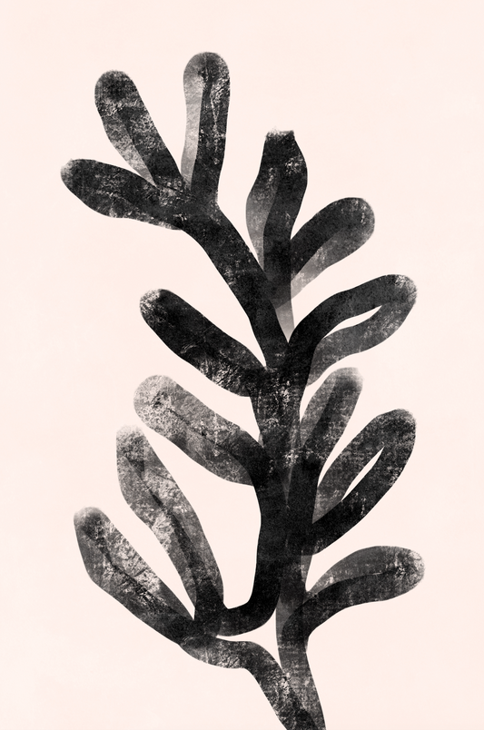 Affiche premium en papier mat – BOTA 1017