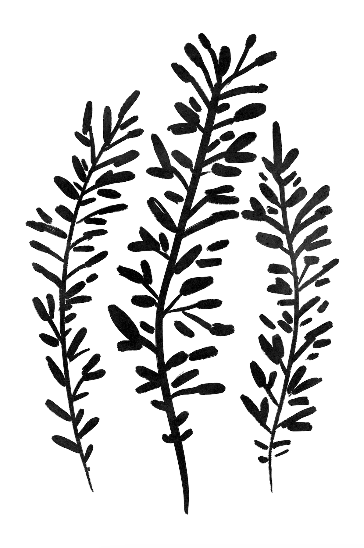 Affiche premium en papier mat – BOTA 1024