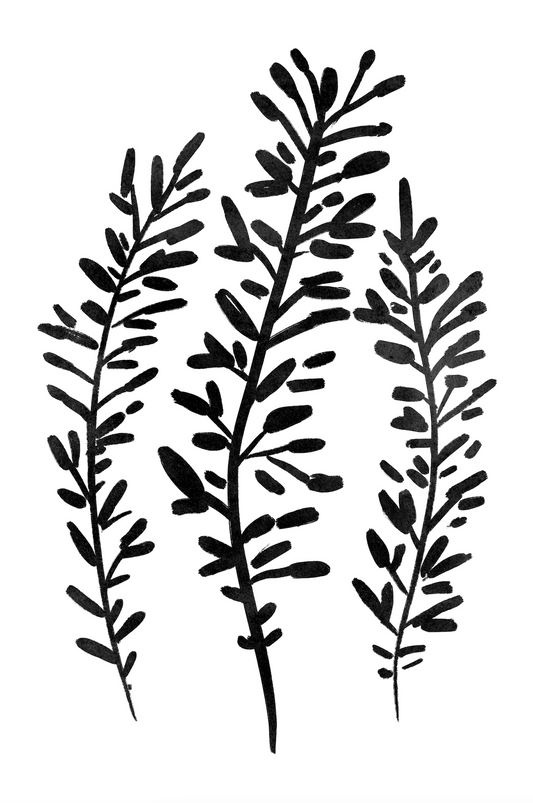 Affiche premium en papier mat – BOTA 1024