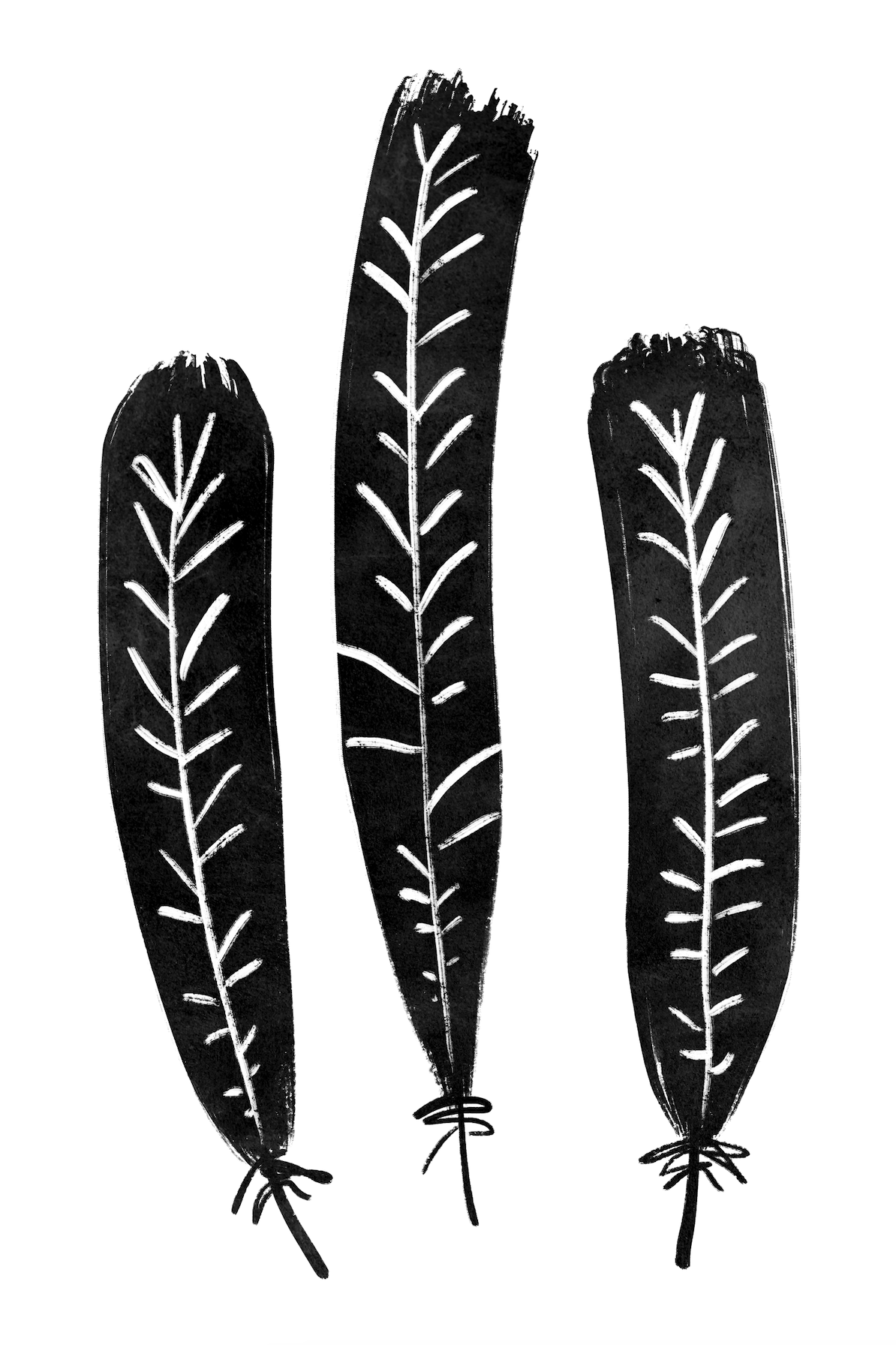 Affiche premium en papier mat – BOTA 1026