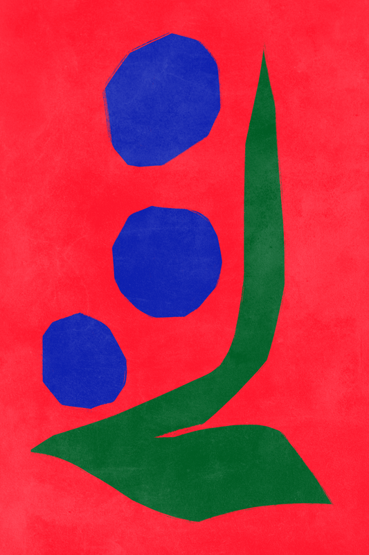 Affiche premium en papier mat – BOTA 1030