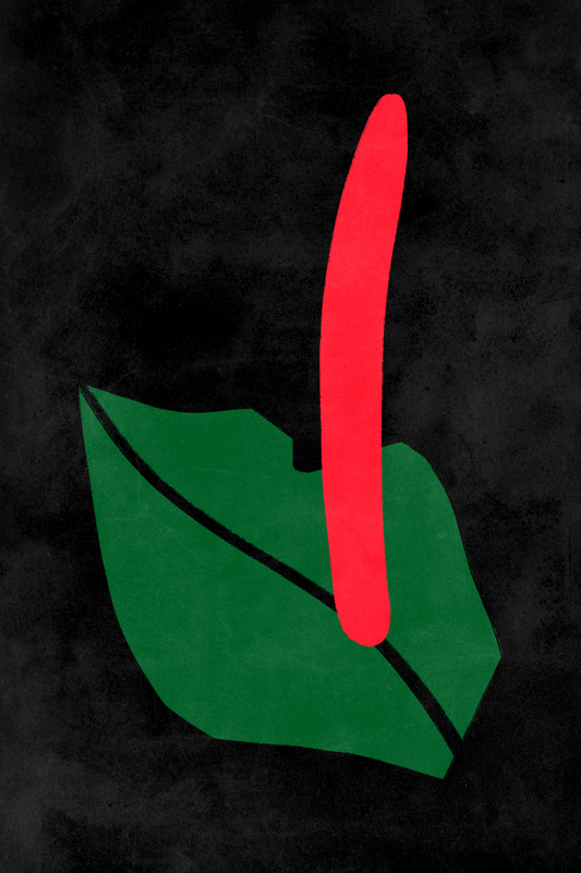 Affiche premium en papier mat – BOTA 1031