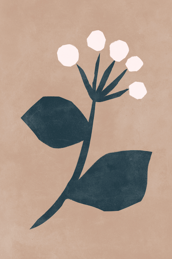 Affiche premium en papier mat – BOTA 1036