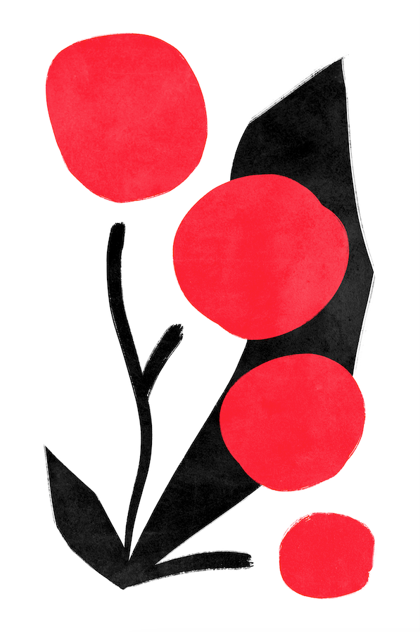 Affiche premium en papier mat – BOTA 1042