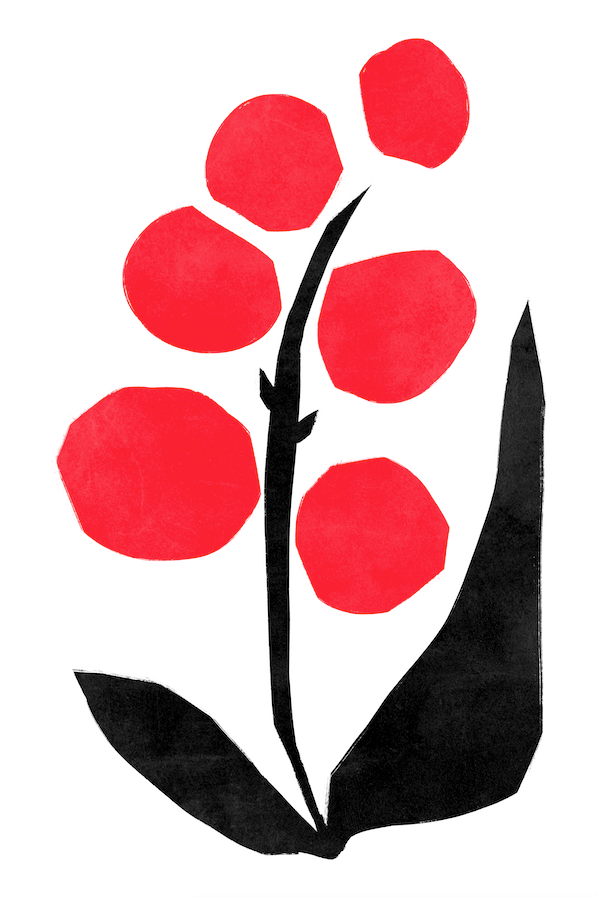 Affiche premium en papier mat – BOTA 1043