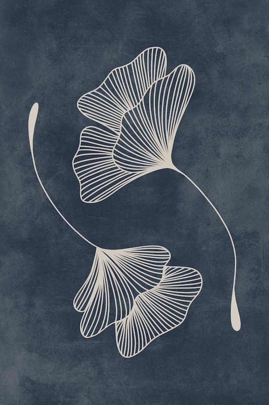 Affiche premium en papier mat – BOTA 1049