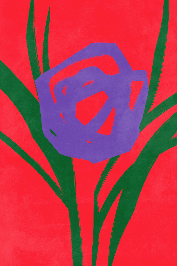 Affiche premium en papier mat – BOTA 1050