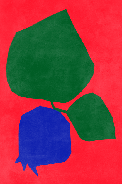 Affiche premium en papier mat – BOTA 1029