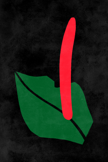 Affiche premium en papier mat – BOTA 1031