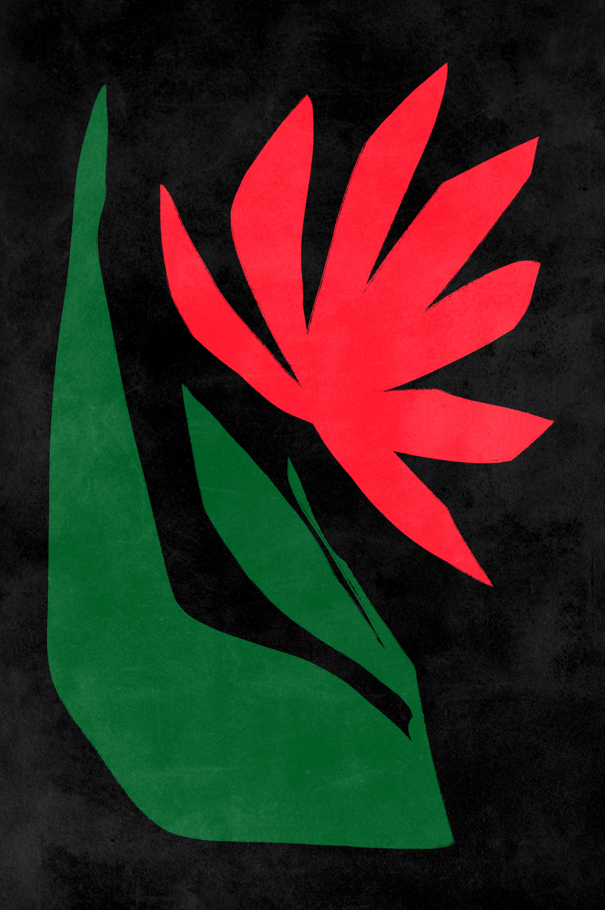 Affiche premium en papier mat – BOTA 1033