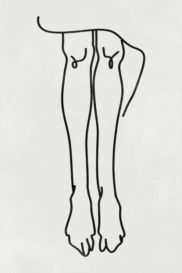 Affiche premium en papier mat – DEST 1044