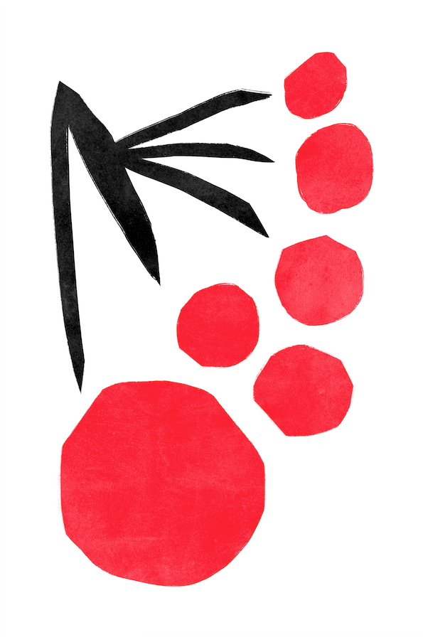 Affiche premium en papier mat – BOTA 1041