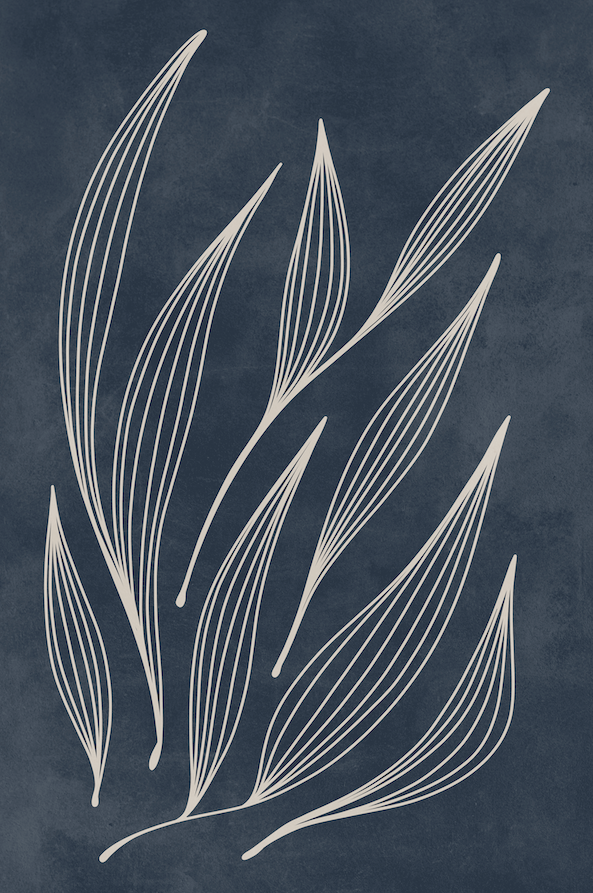 Affiche premium en papier mat – BOTA 1047