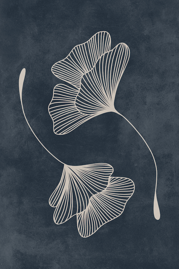 Affiche premium en papier mat – BOTA 1049